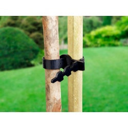 Tree Tie-Eclipse Fencing