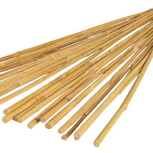 Bamboo Canes-Eclipse Fencing