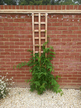 Load image into Gallery viewer, Trellis Square Heavy Duty-Eclipse Fencing

